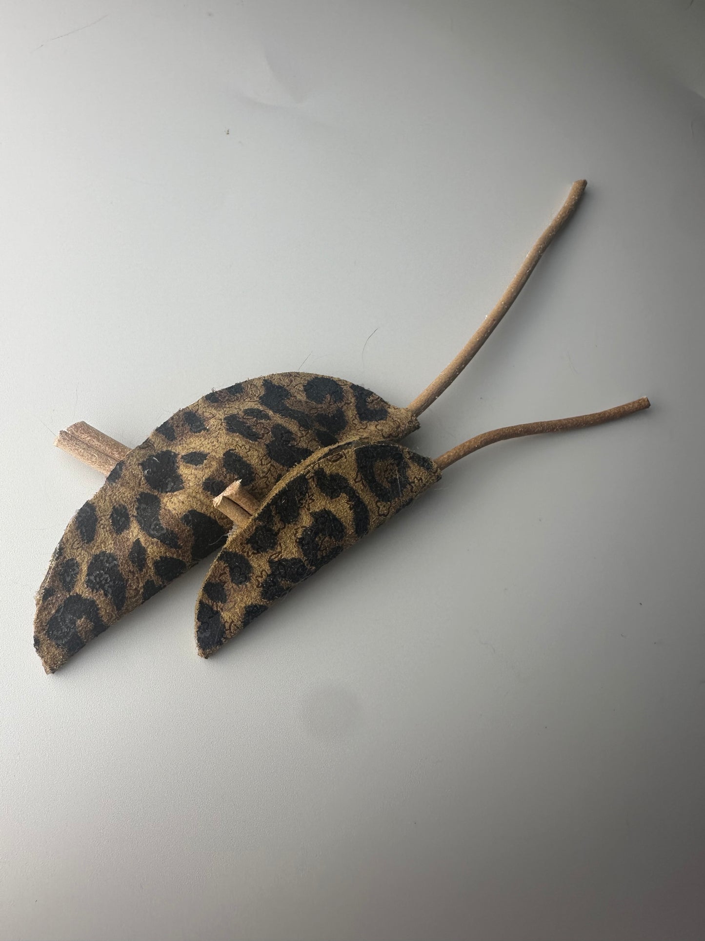 LionsLike Ledermaus