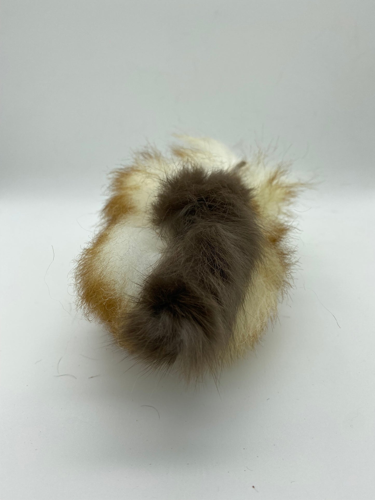 LionsLike Birdy
