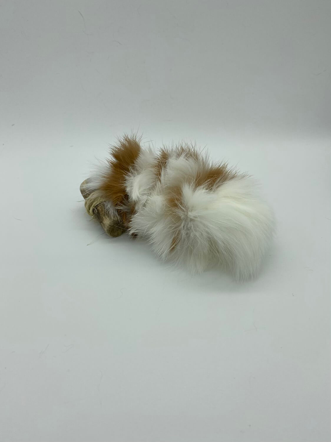 LionsLike Fellraupe