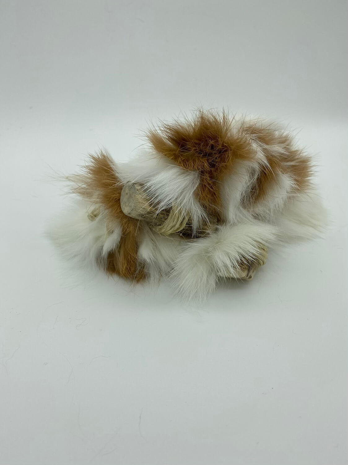 LionsLike Fellraupe