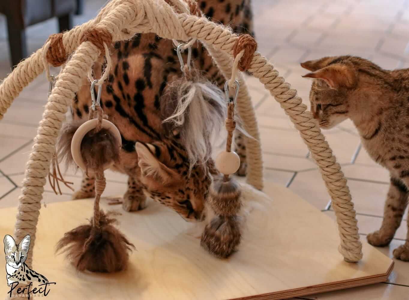 LionsLike Spielbogen