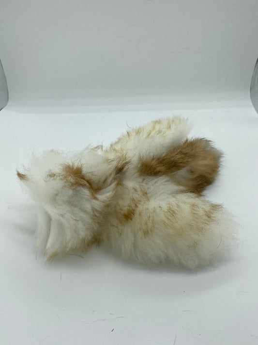 LionsLike Birdy