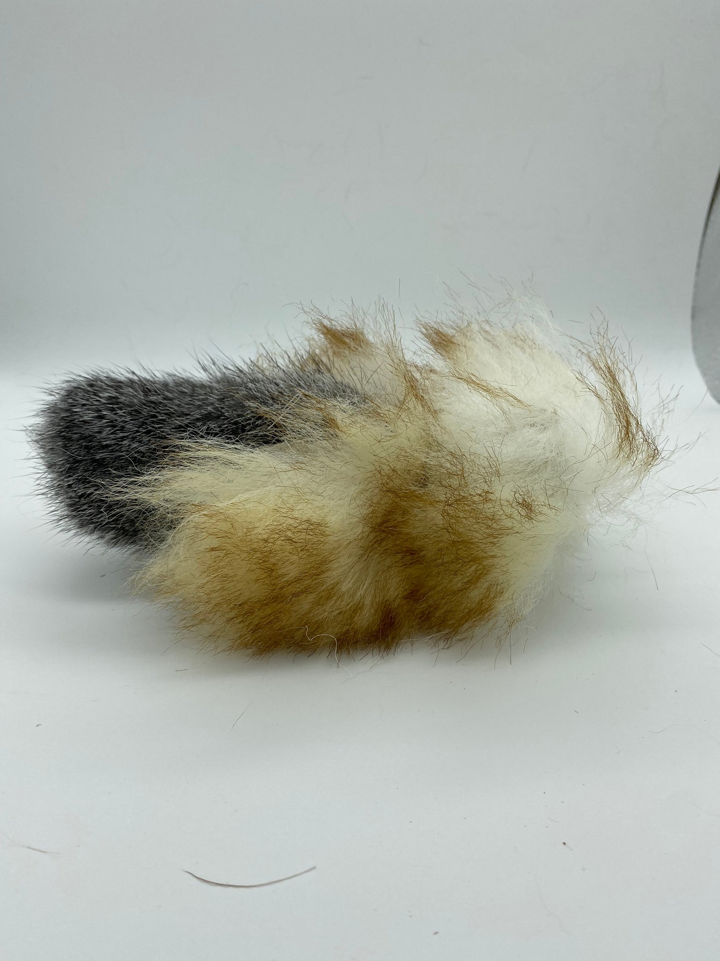 LionsLike Birdy