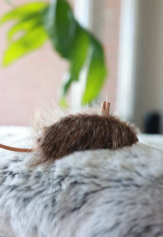 LionsLike Bisammaus