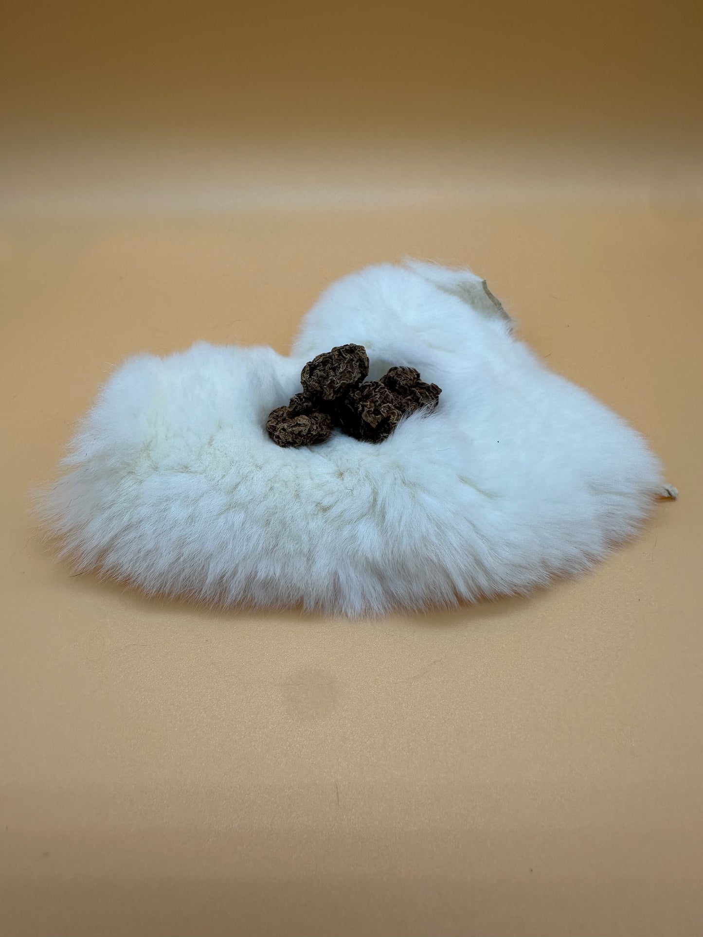 LionsLike SchnupsiDrop