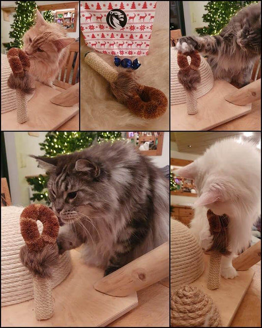 LionsLike Schubber- mich