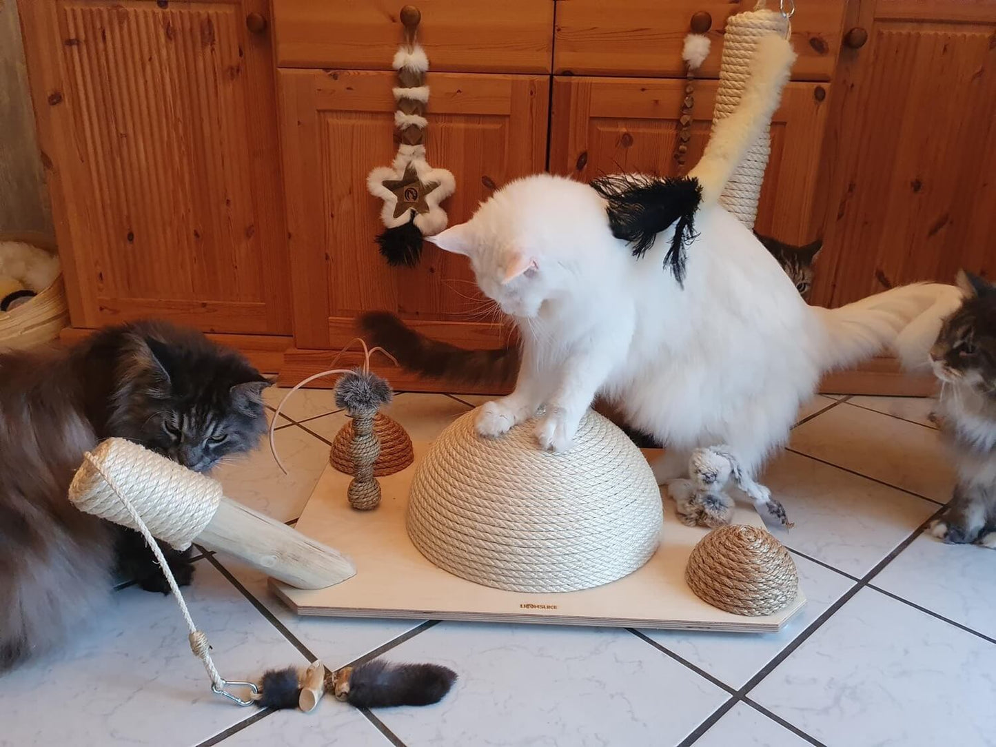 LionsLike Playgroud