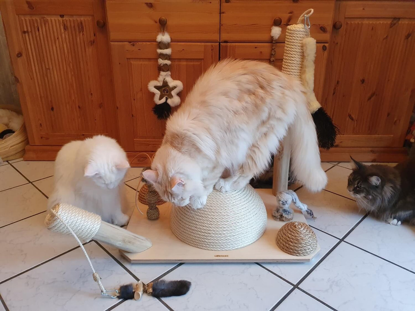 LionsLike Playgroud