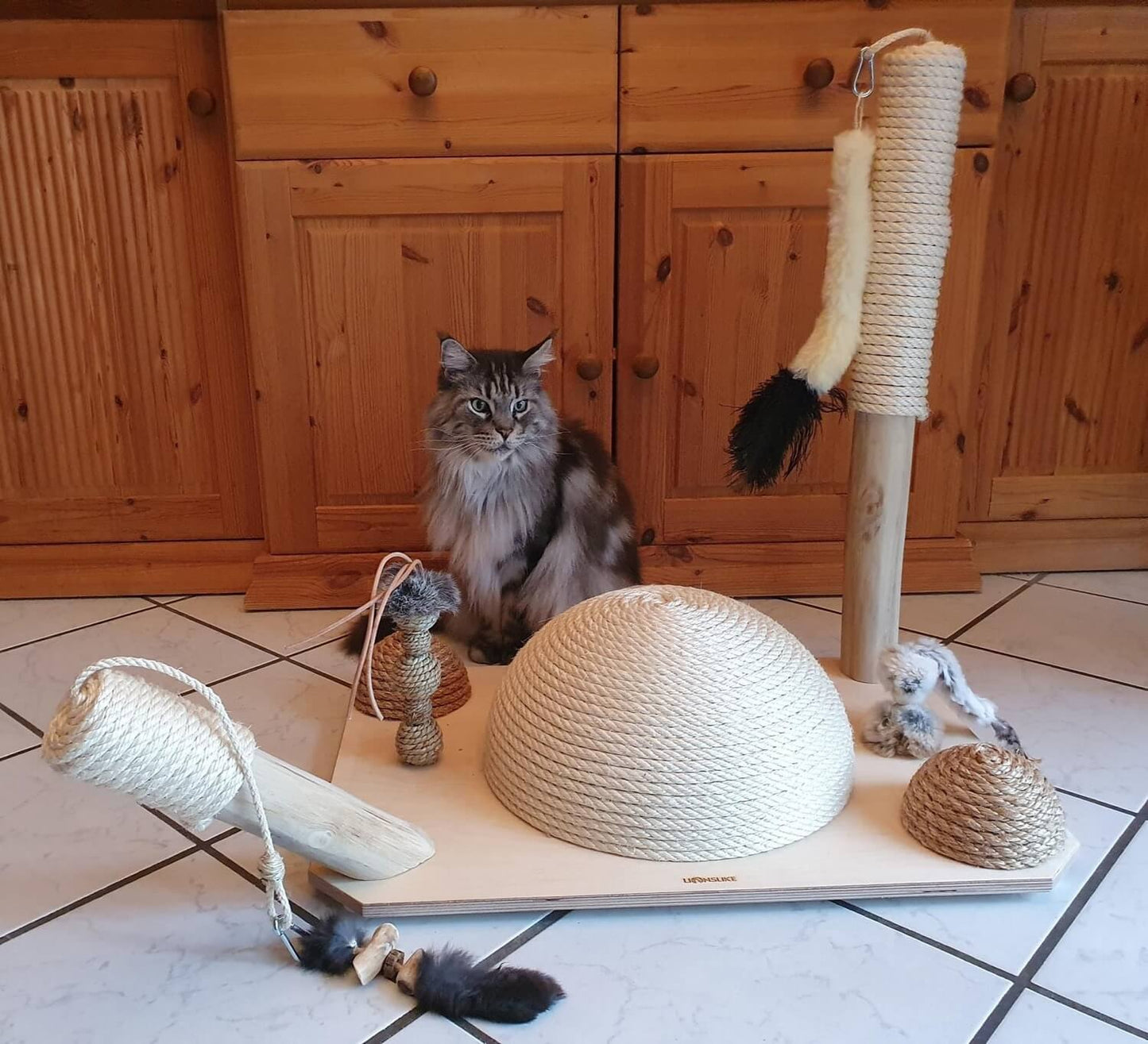 LionsLike Playgroud